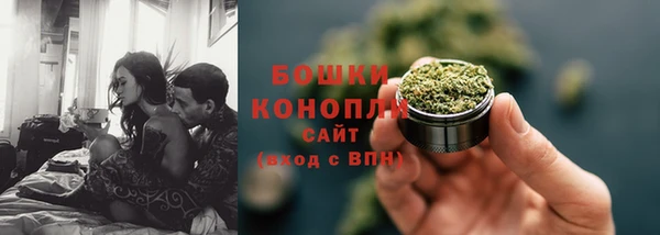 сатива Балабаново