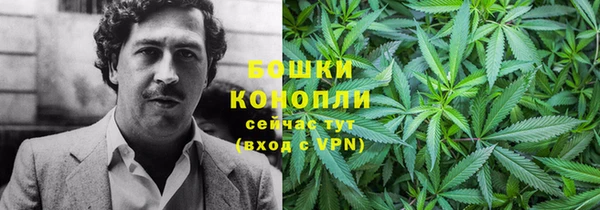 сатива Балабаново