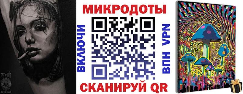 Псилоцибиновые грибы Psilocybine cubensis  Холм 